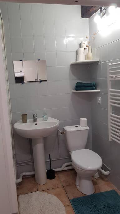 Studio Orleans Chatelet Esterno foto